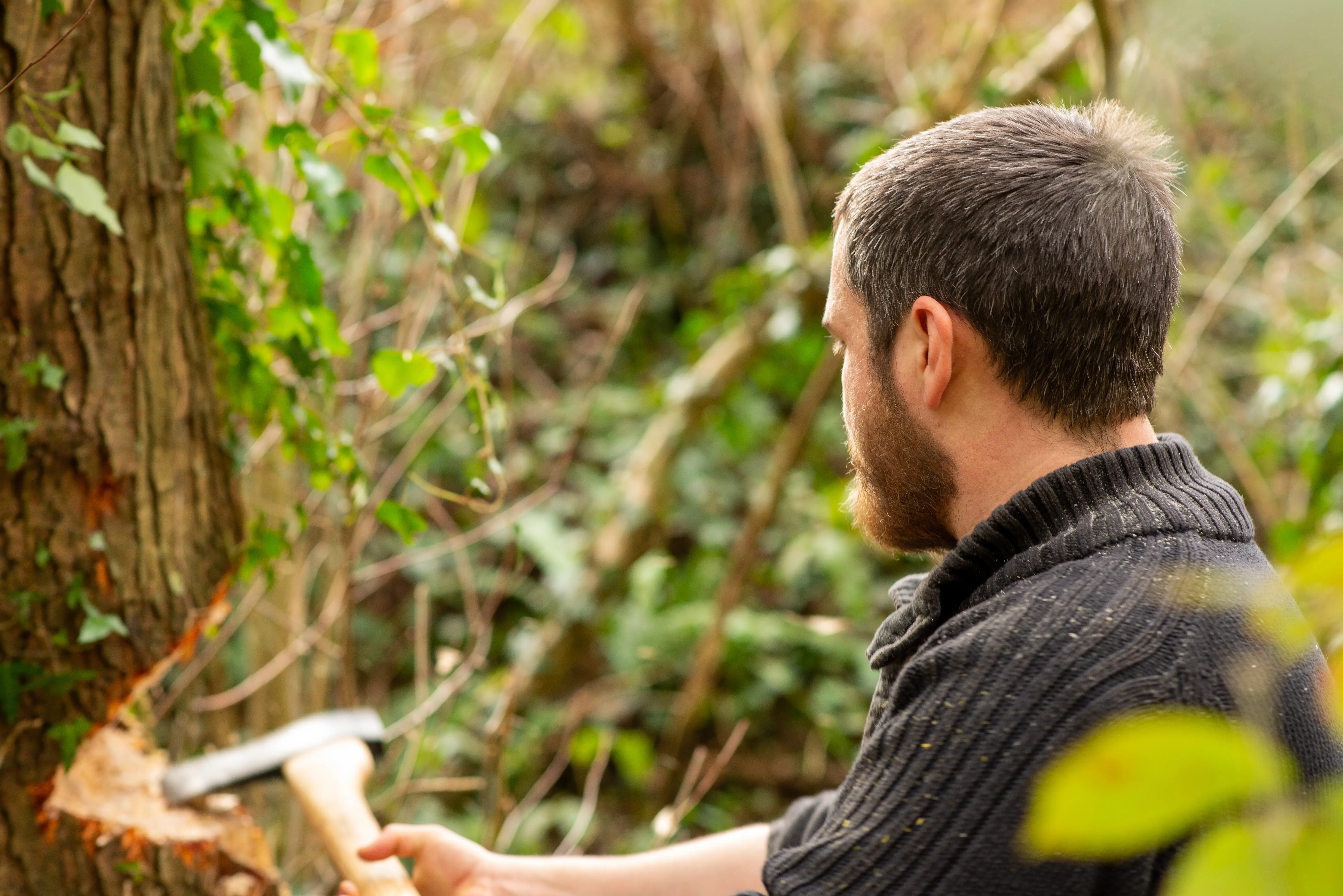 Ein gutaussehender 30-jähriger Mann hackt mit einer Axt einen Baum.